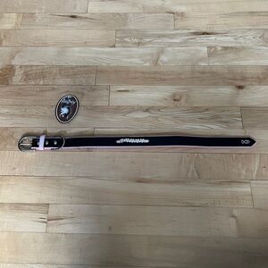 Rhinestone Hearts XL Dog Collar